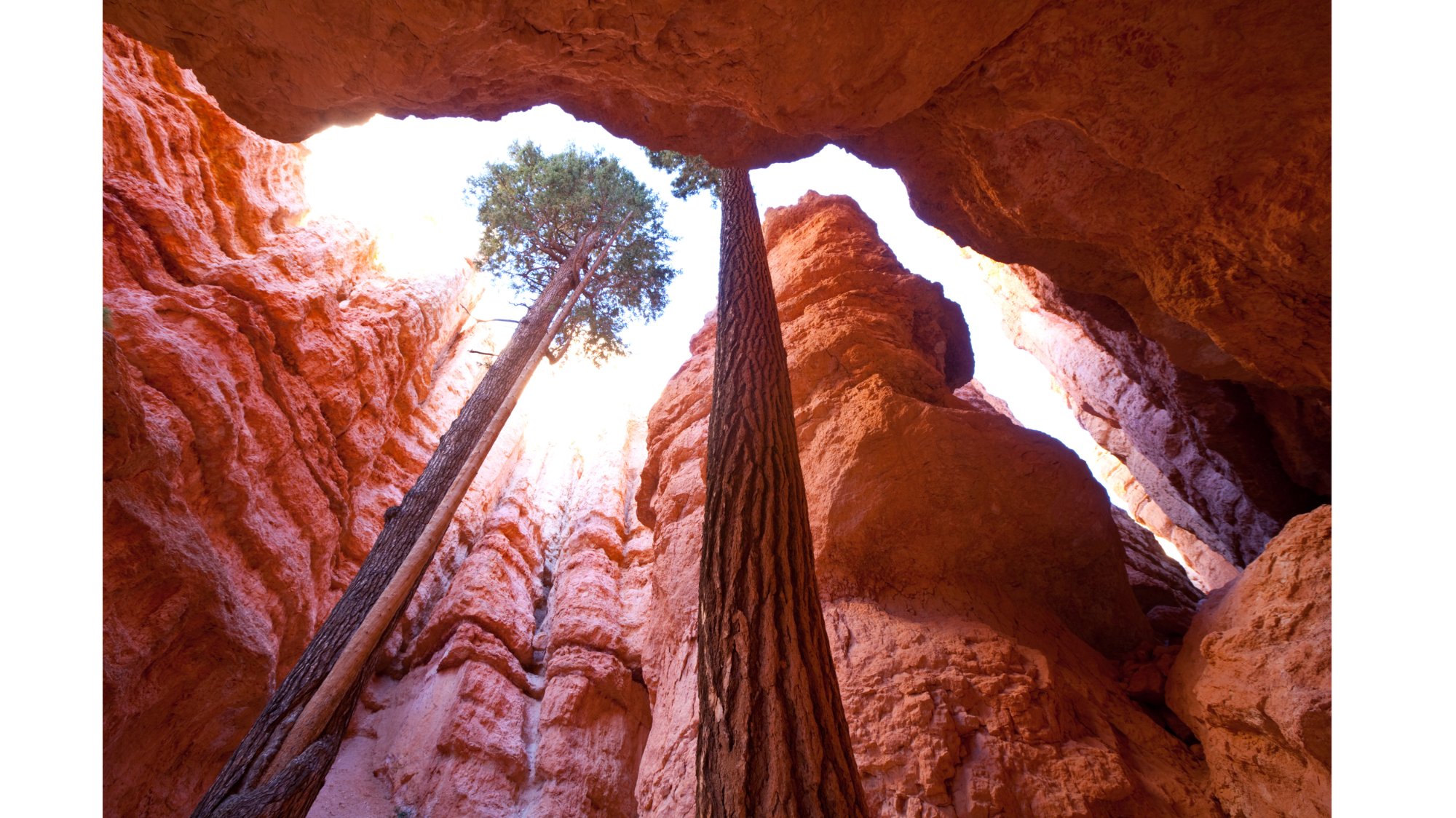 Hiking trails in Bryce Canyon National Park